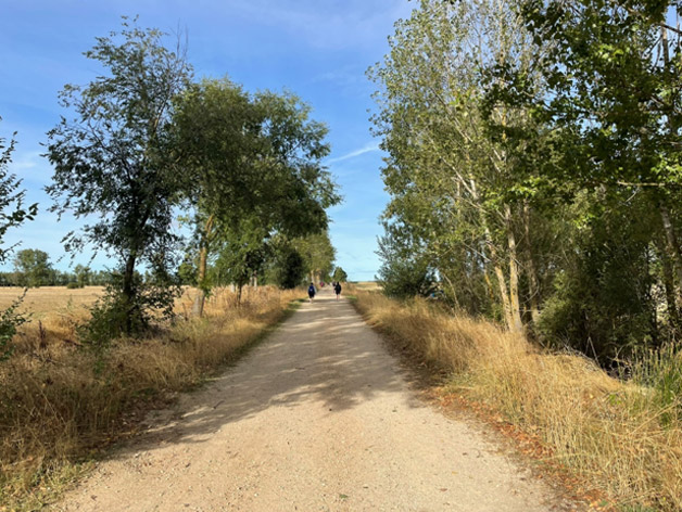Camino