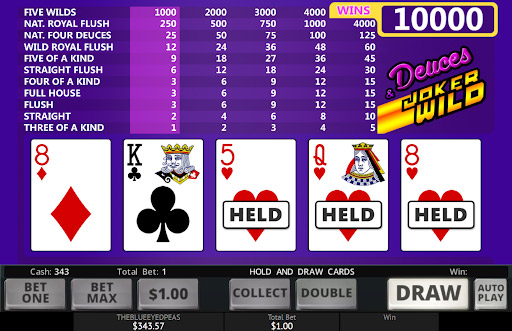 videopokeri-kolikkopeli